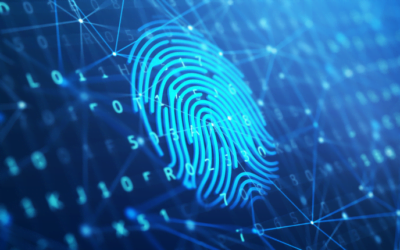 Blockchain in the public sector