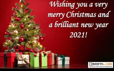 Season’s Greetings from Seetalabs Family!
